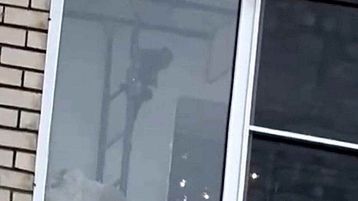 Очевидцы сняли на видео обезьяну в шортах на балконе в Вольске