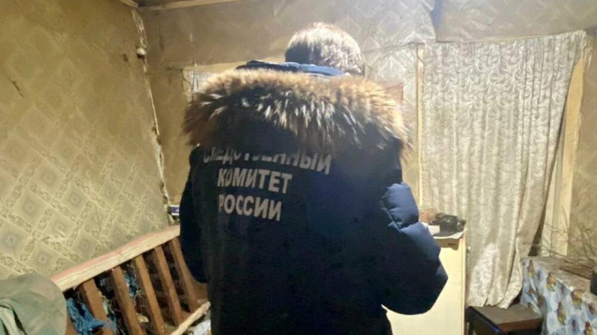 Труп мужчины с проломленной головой нашел односельчанин в Саратовской области