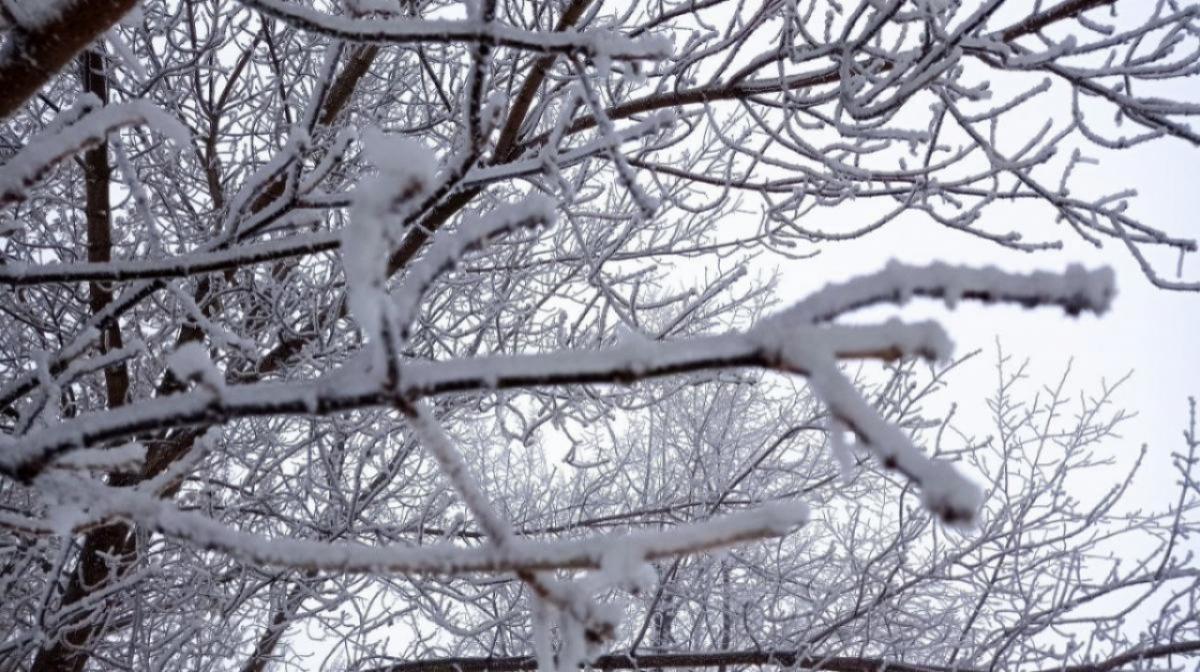 В Саратовской области снова ожидаются сильные снегопады и мороз до -28 градусов