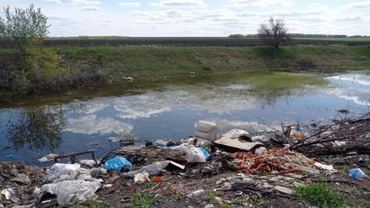 Свыше 31 млн выделят на проект ликвидации опасной свалки в Саратове