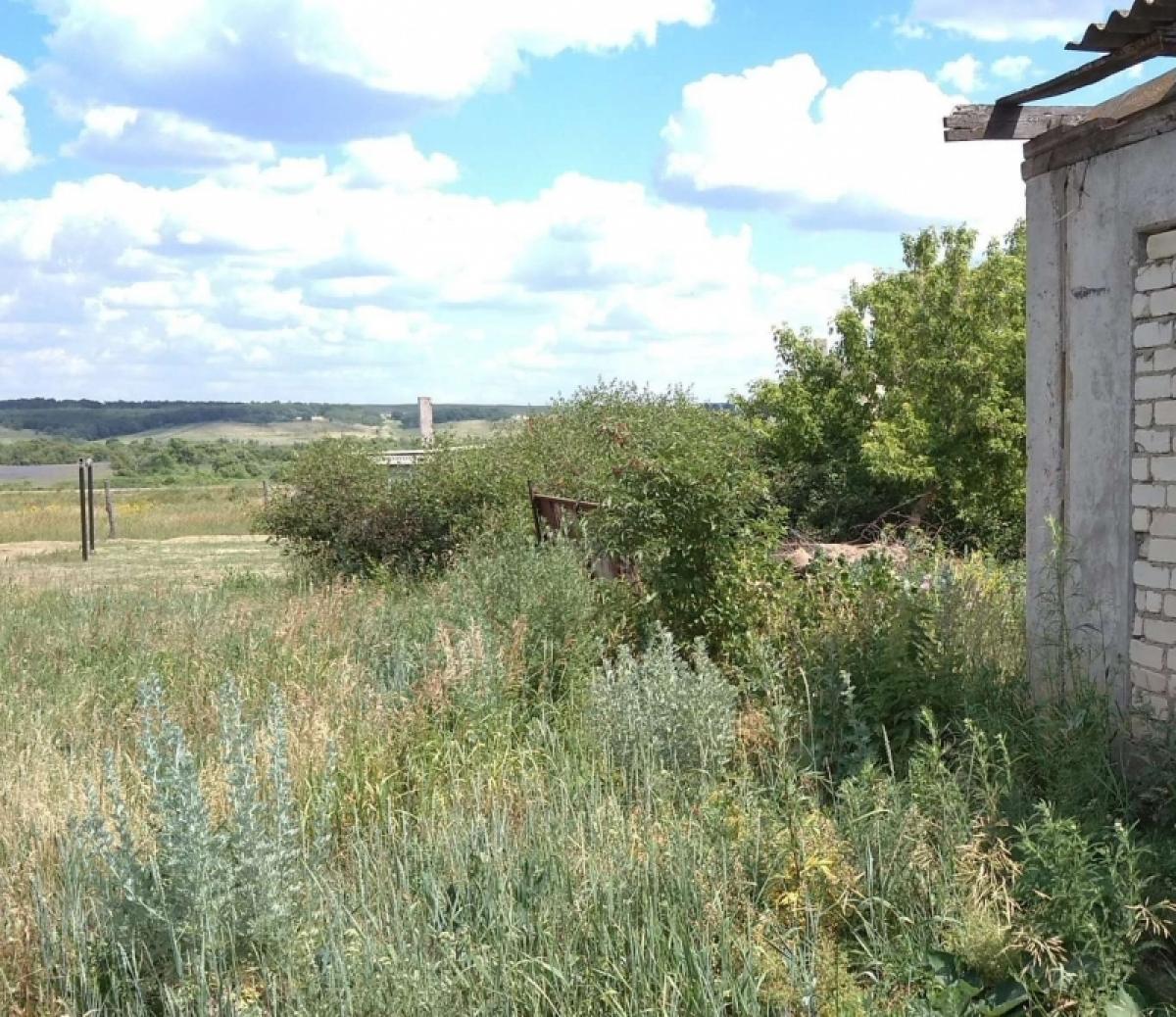 В России за нескошенную траву предлагают изымать земельные участки