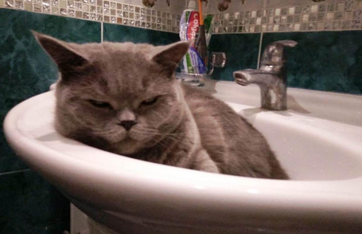 Ленинский и Заводской районы останутся без горячей воды – полный список адресов