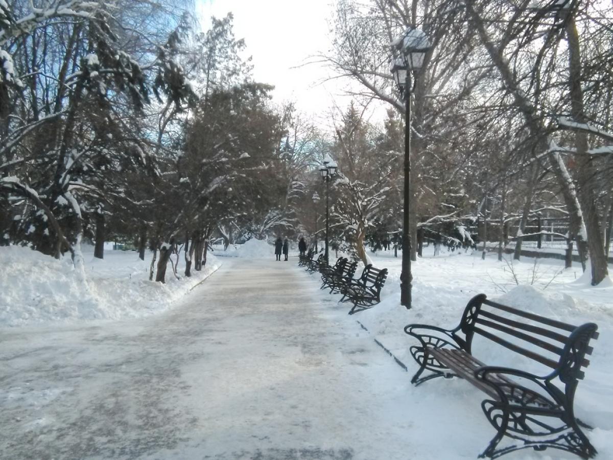 Синоптик рассказала, сколько времени в Саратовской области продлятся снегопады