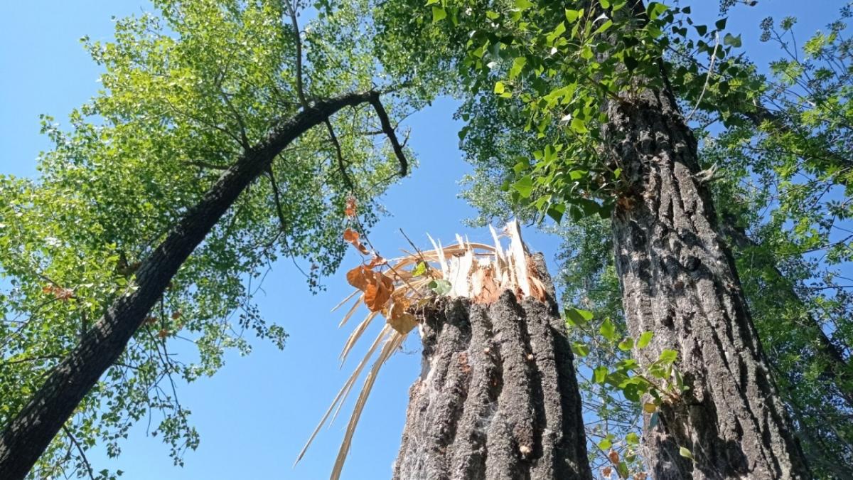 В Саратовской области 17 человек заболели опасной лихорадкой