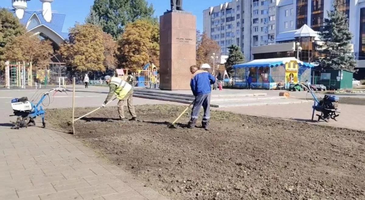 Озвучены планы благоустройства и содержания территорий Энгельса 