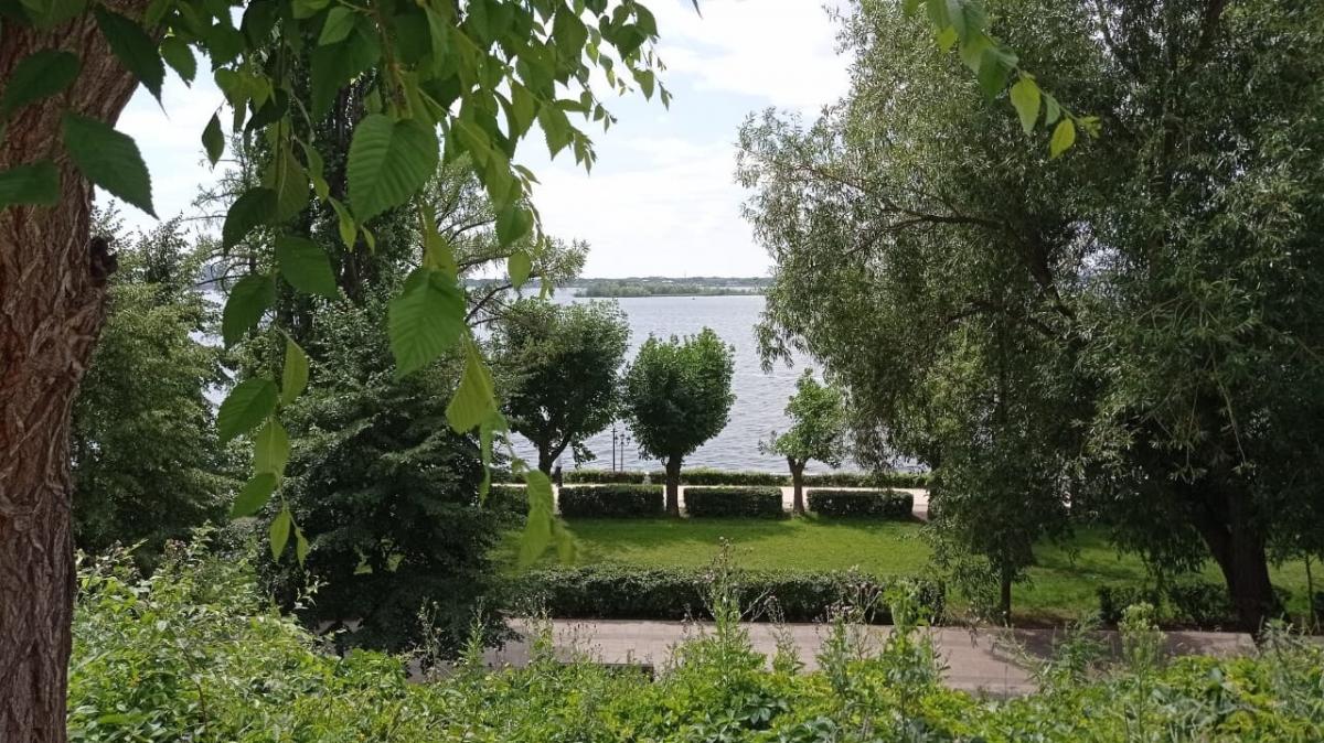 Власти Саратова объяснили позеленение туфа на набережной обильными осадками