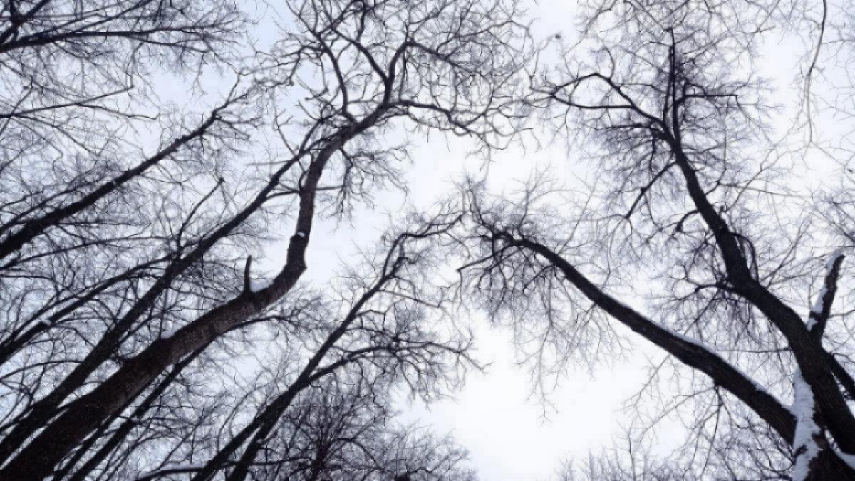 Чиновники предупредили саратовцев о запуске беспилотника над городом 19 февраля