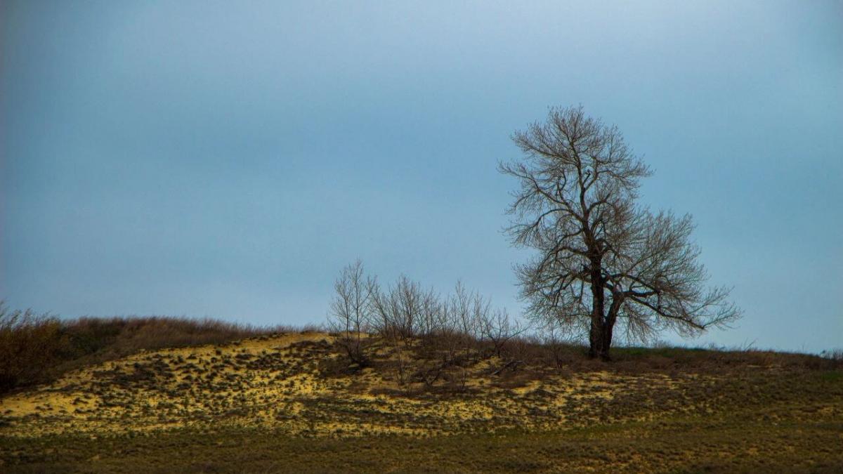 Над Саратовской областью подразделения ПВО ночью уничтожили 2 беспилотника