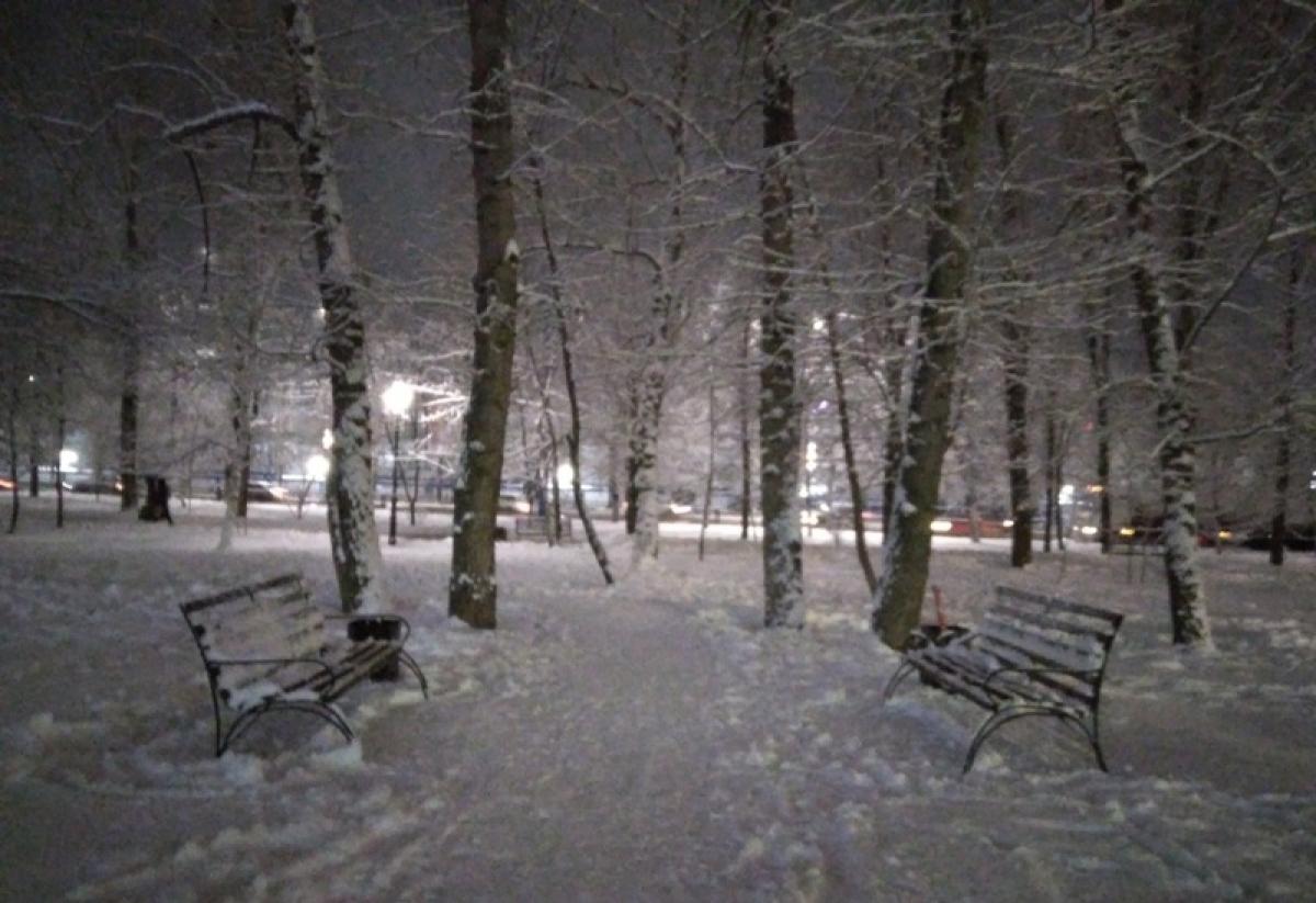 Возвращалась из бара: мужчина повалил на землю и изнасиловал незнакомку в безлюдном месте