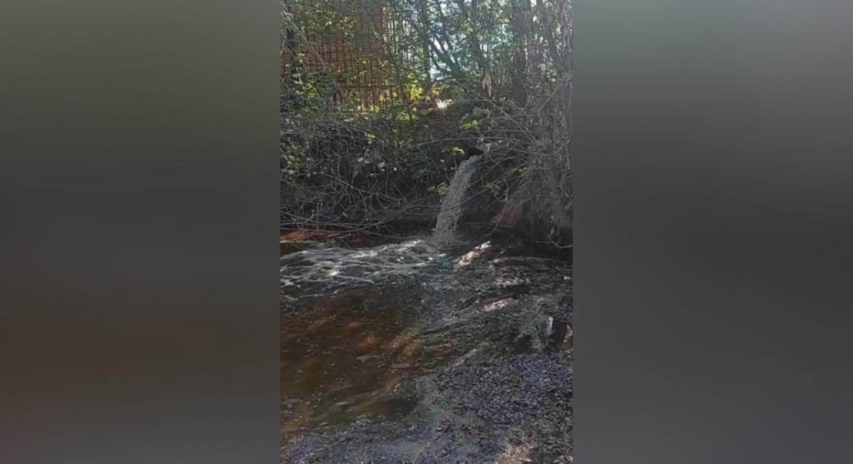 В Энгельсе начали наполнять пруд около дома отдыха «Ударник»