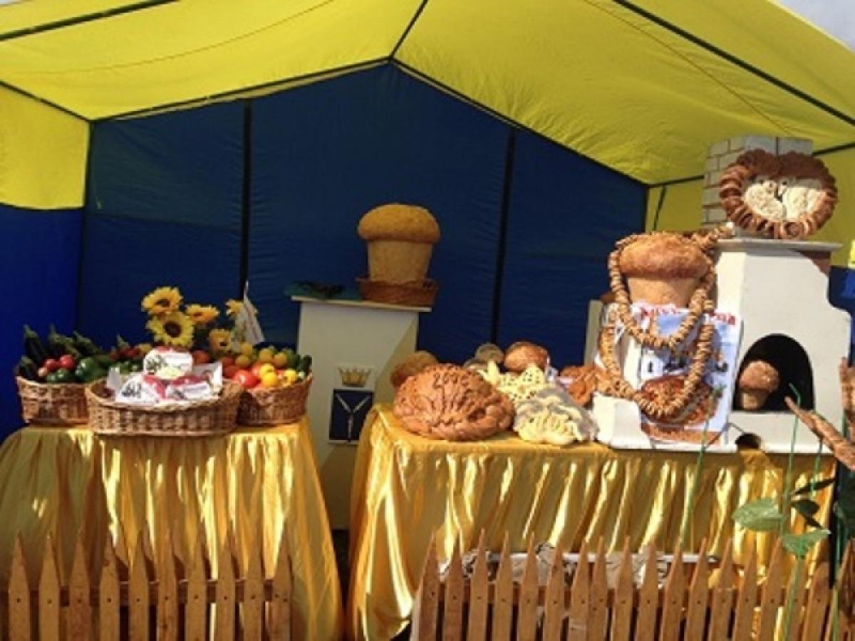 В Саратовской области стали больше производить «макарошек» и жидкого молока