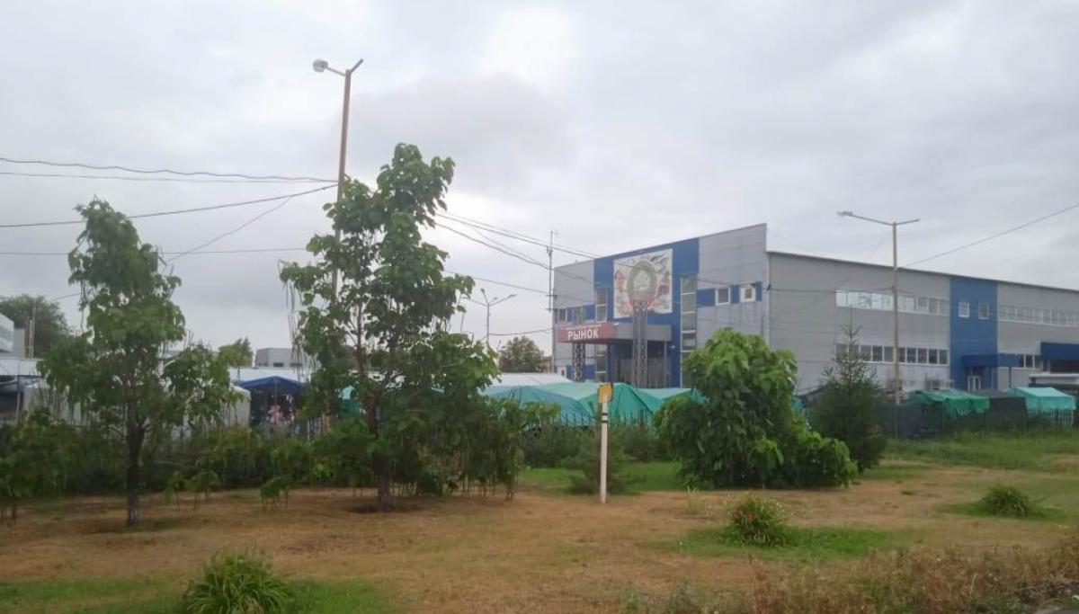 Минсельхоз объяснил рост цен на продукты в Саратовской области