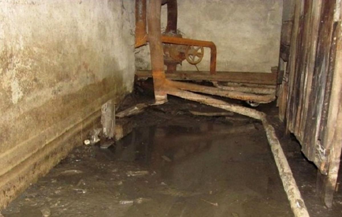 Черви в подвалах: федеральные СМИ написали о том, как живут саратовцы в многоквартирных домах