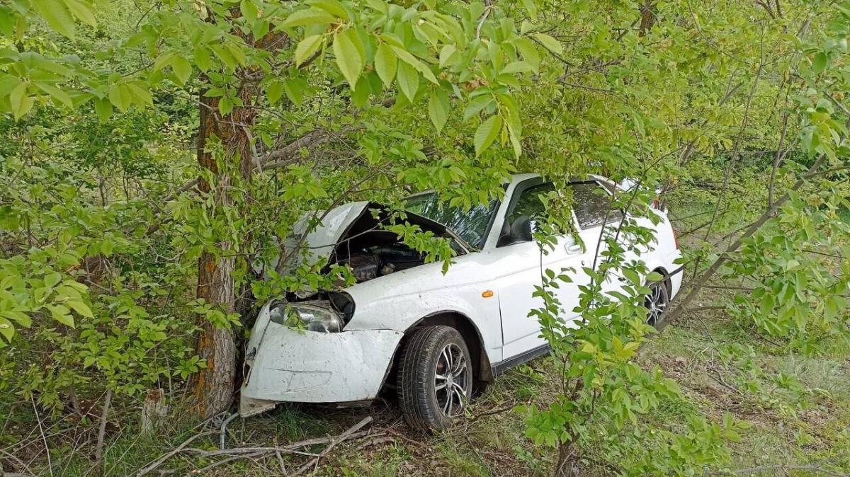 Под Саратовом в протаранившей дерево «Приоре» пострадали два человека