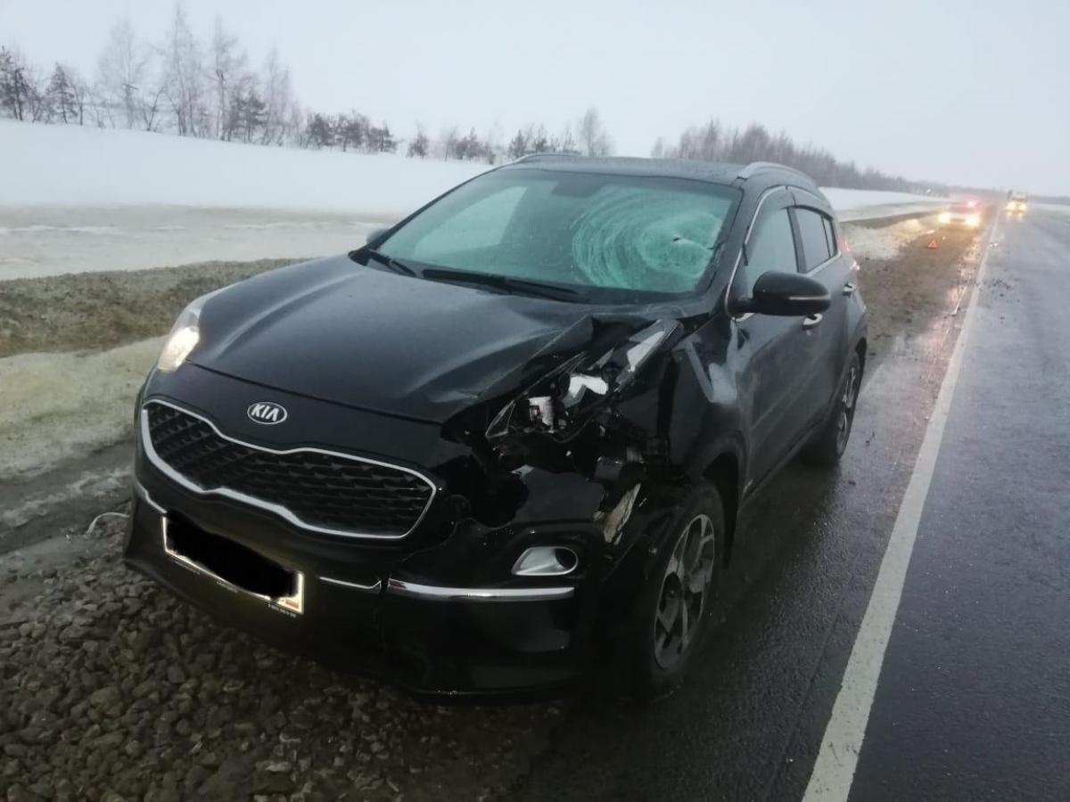 В День защитника отечества под Саратовом водитель на «Киа» сбил пешехода насмерть