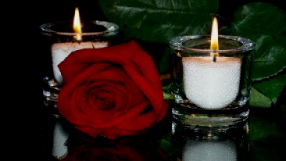 Поисковики из Саратова обнаружили останки 114 советских воинов