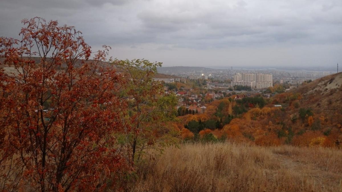 Саратовцы нашли на Кумысной поляне расцветшую «грибную розу»