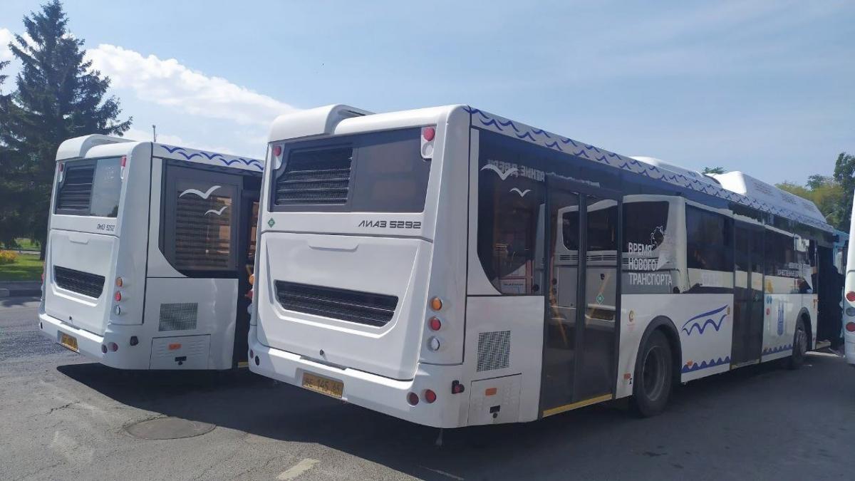 В Саратове на 3 маршрутах запущены новые автобусы с символами города