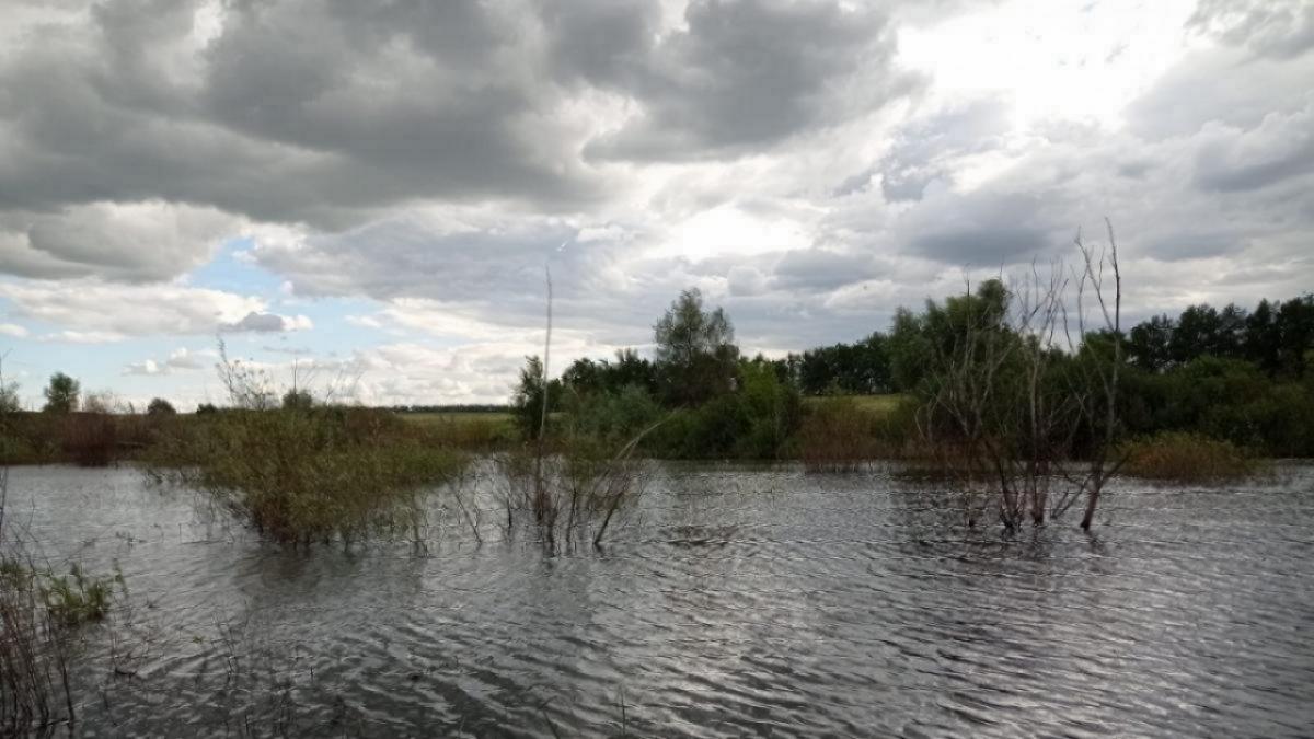 Паводок-2024: в Саратовской области 46 сел отрезаны от большой земли