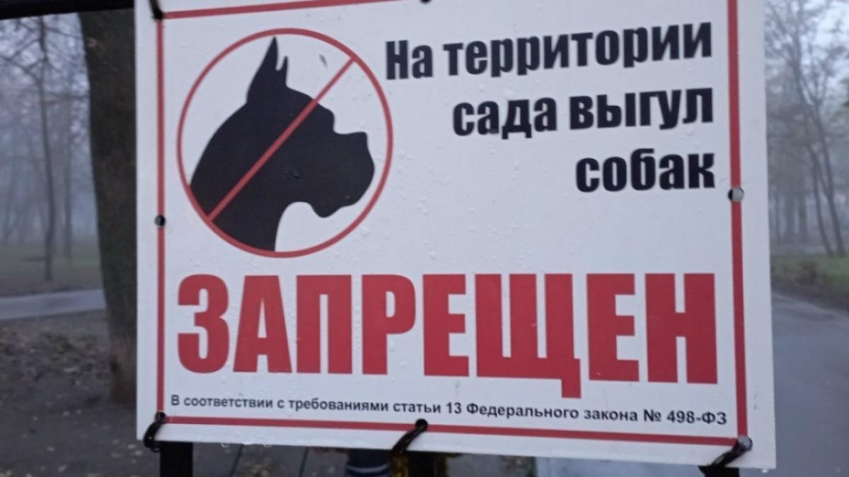 В Саратовской области зафиксировали 20 очагов бешенства с начала года