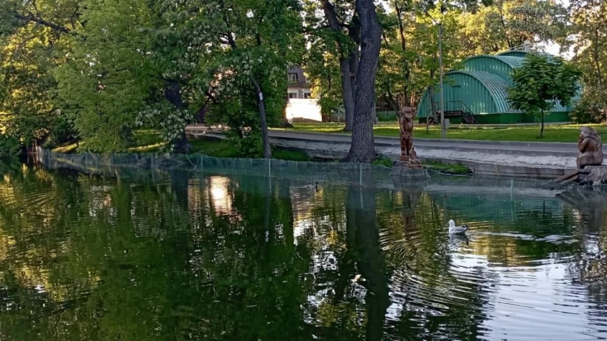 В мае специалисты приступили к работам по очистке пруда в саратовском Горпарке