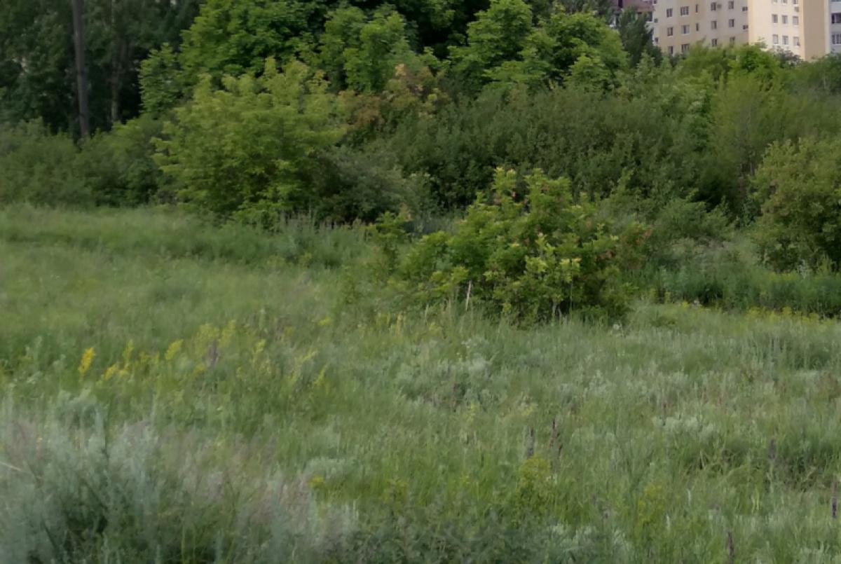 Убийца с ножом несколько раз изнасиловал жену, которая хотела с ним развестись 