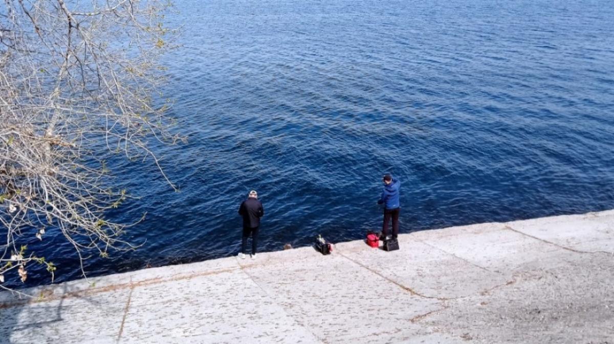 Трофей на 26 кг: саратовский рыбак поймал гигантского сома