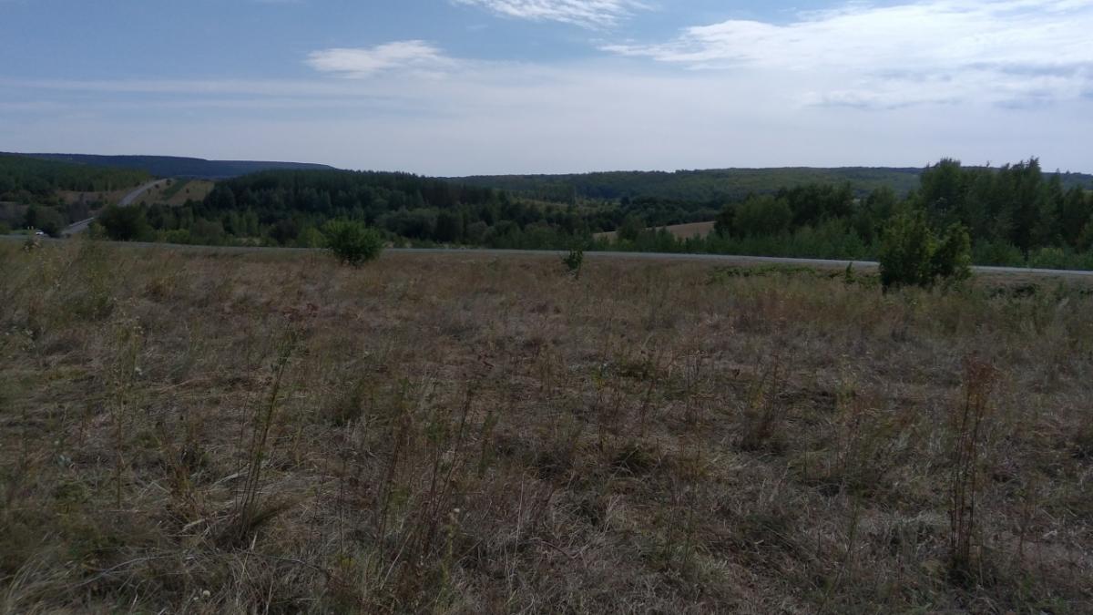 В Саратовской области построят новый мукомольный завод за 600 миллионов рублей