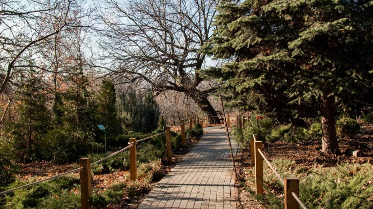 Открывшийся в Саратове Ботанический сад за день посетили 3000 горожан