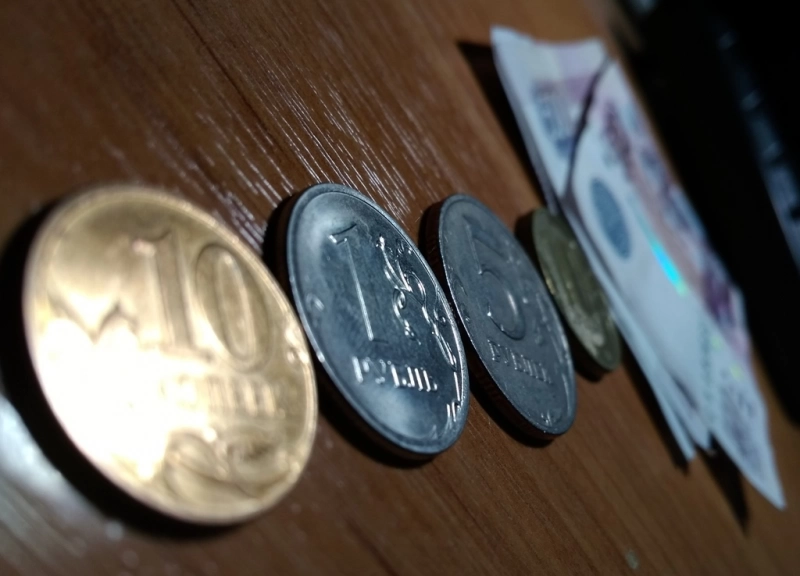 Жители России назвали минимальный доход, позволяющий «сводить концы с концами»
