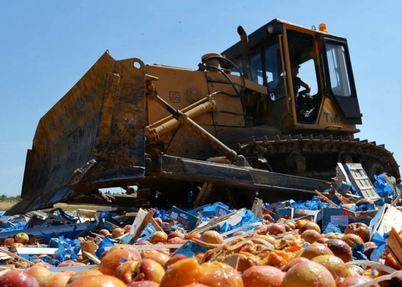 Роспотребнадзор выступил против уничтожения санкционных продуктов