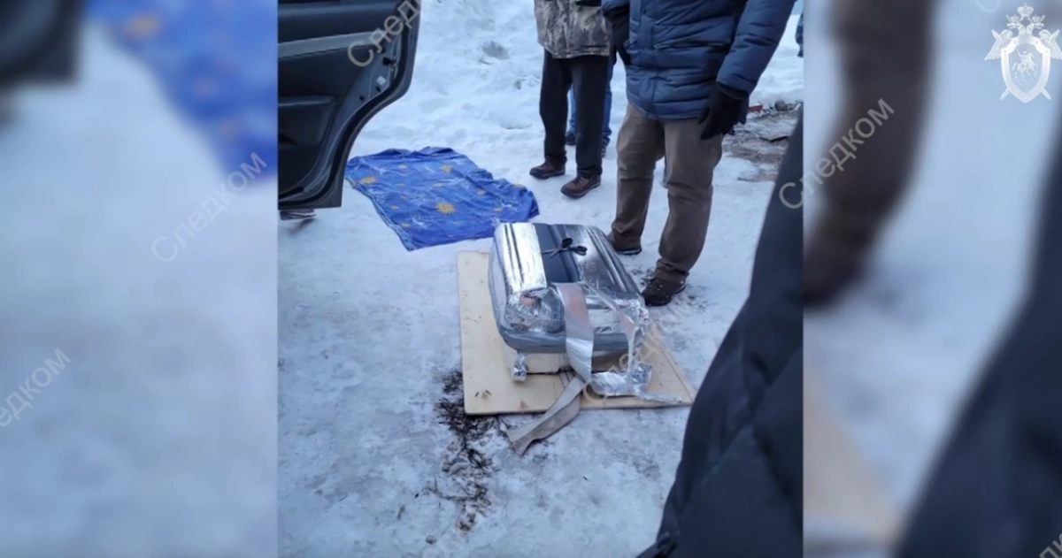 Задушил и вывез в чемодане: в гараже частного дома нашли пропавшую в прошлом году модель
