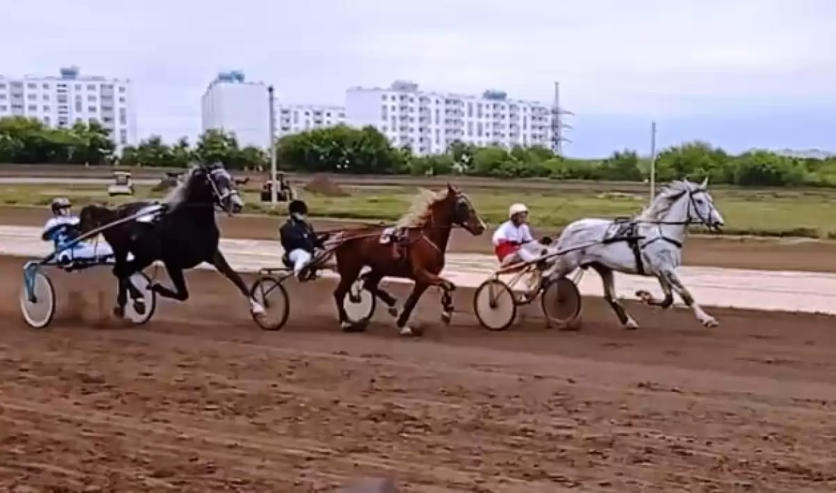 Опубликовано видео финиша первого заезда нового сезона на саратовском  ипподроме