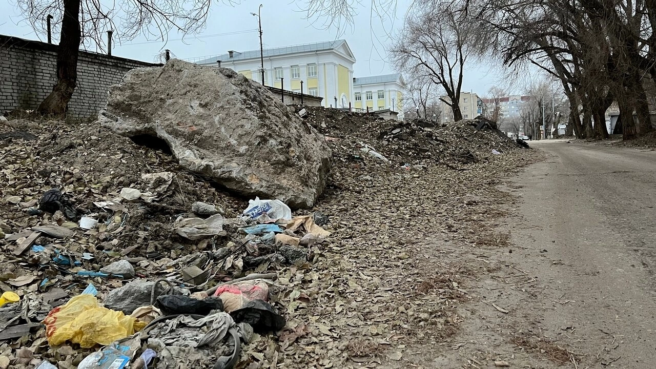 Саратовцы пожаловались властям на свалку у школы № 84