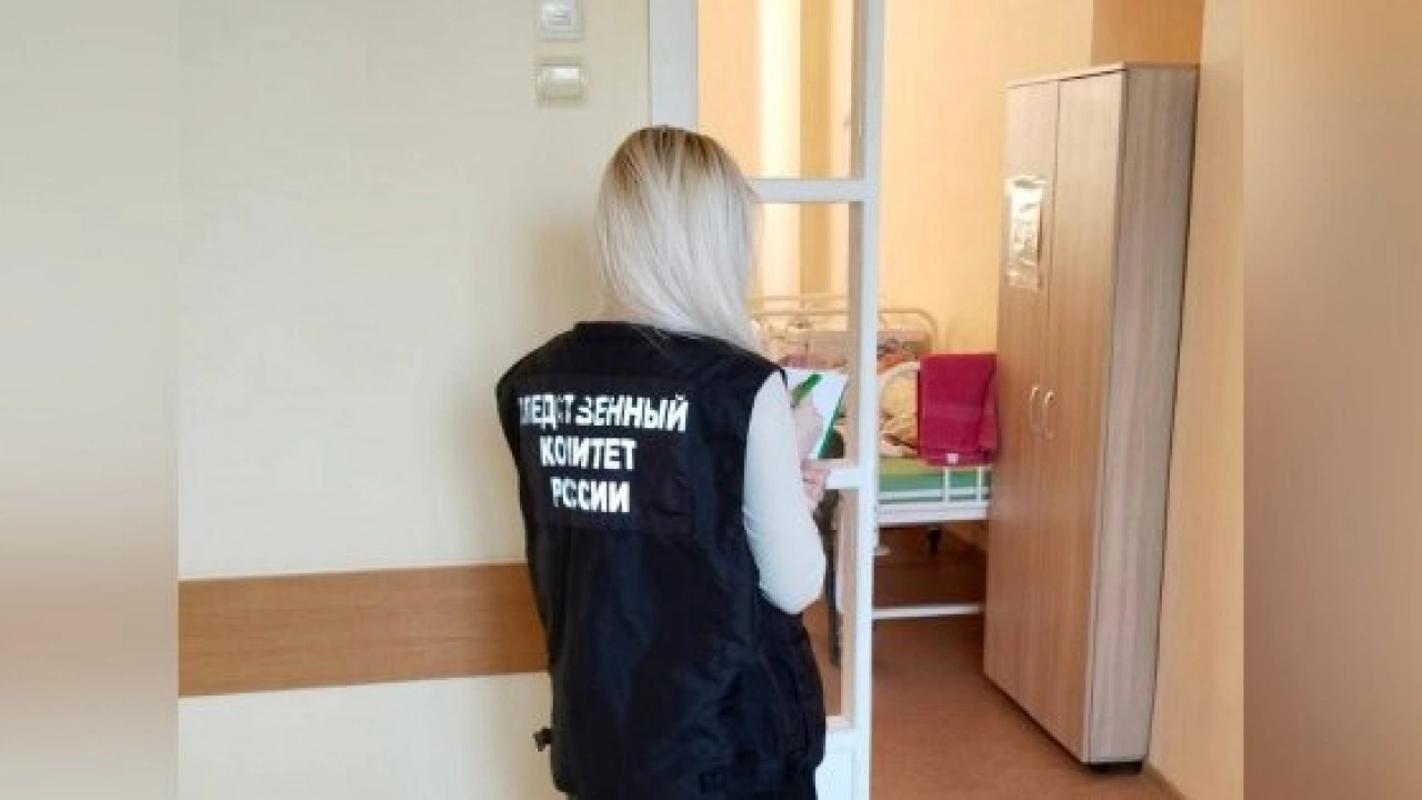 В Саратове бездомная собака укусила 9-летнюю девочку на Шехурдина