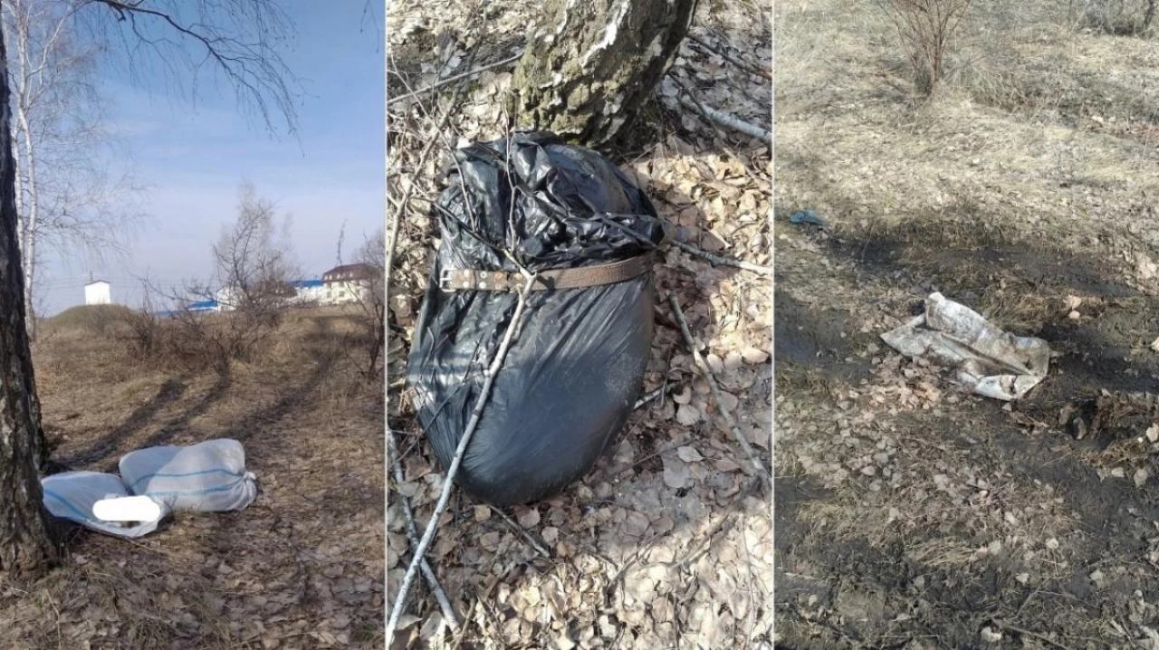 Трупы собак в мешках на Кумысной поляне – саратовские власти обратились в полицию