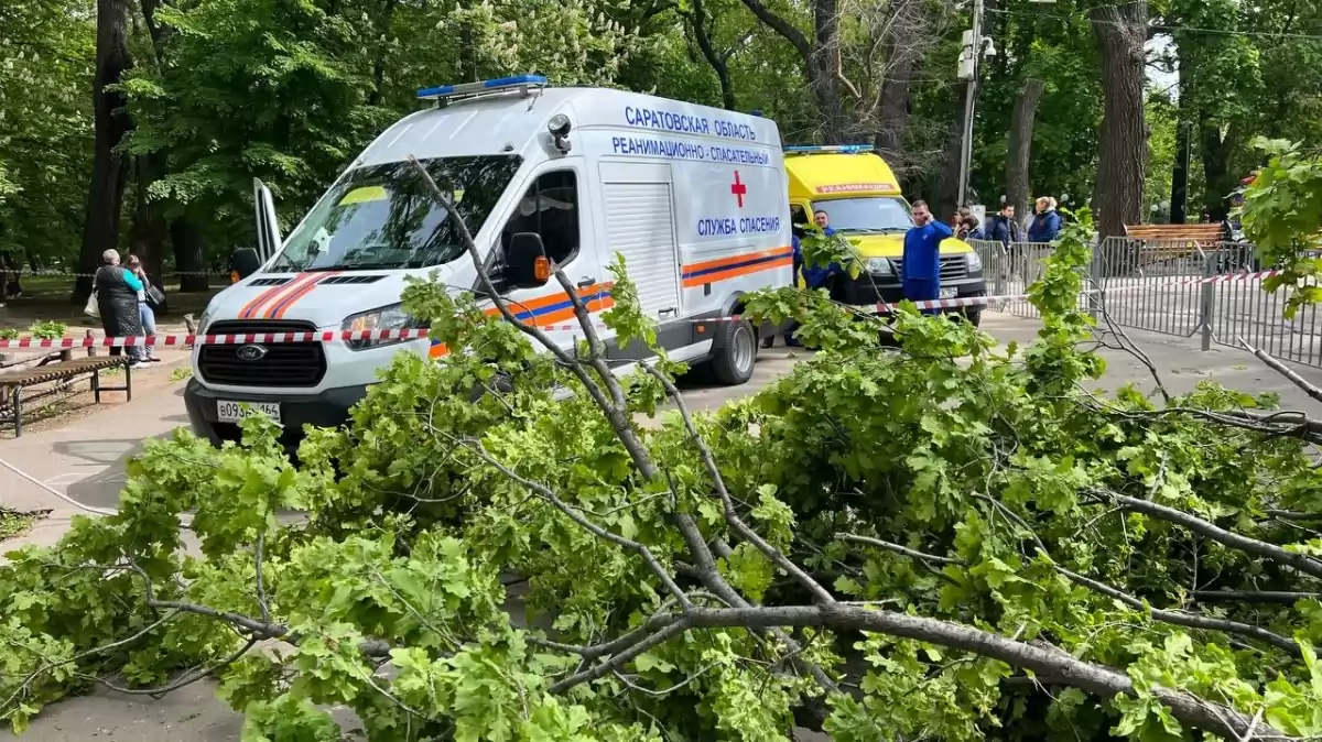 В Саратове под упавшим в городском парке деревом погибли женщина и ребенок