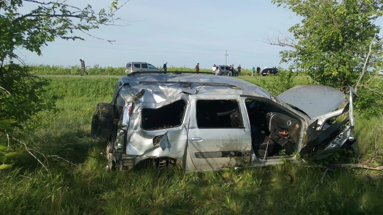 4 человека пострадали в сбившем косулю «Ларгусе» под Саратовом