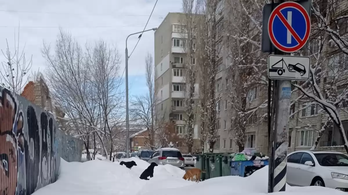 Мэрия Саратова ограничит стоянку авто на улицах в зимний период