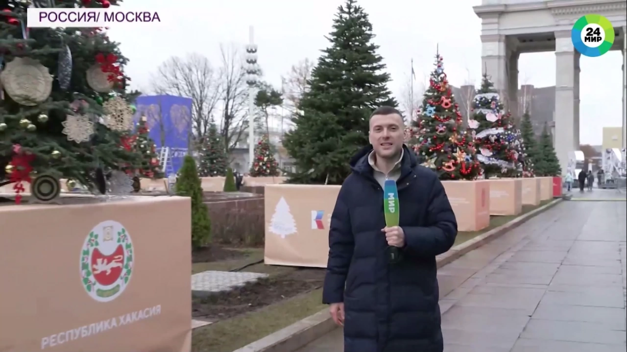 О саратовской ели на выставке «Россия» рассказал федеральный канал