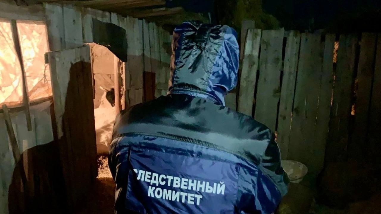 СК: под промерзшей соломой саратовчанка нашла мертвого родственника