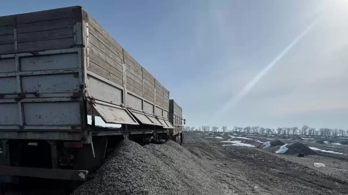 Под Саратовом сельские земли завалили шелухой от подсолнечника