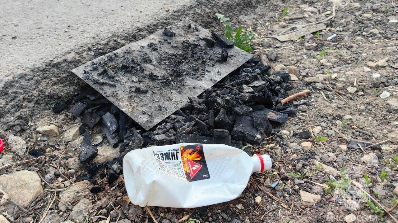 В Энгельсе госпитализированы 2 загоревшиеся от костра девочки 