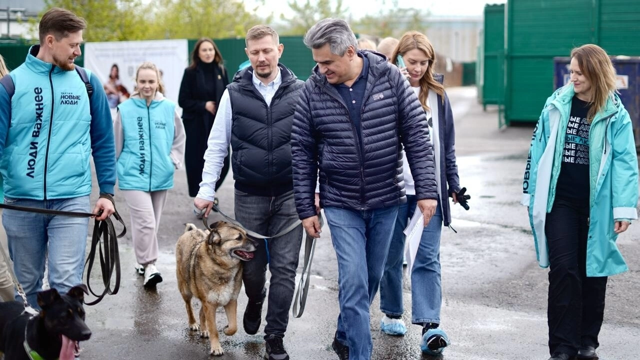 Остановить домашнее насилие, спасти животных, помочь матерям – топ-3 инициативы «Новых людей» для саратовцев