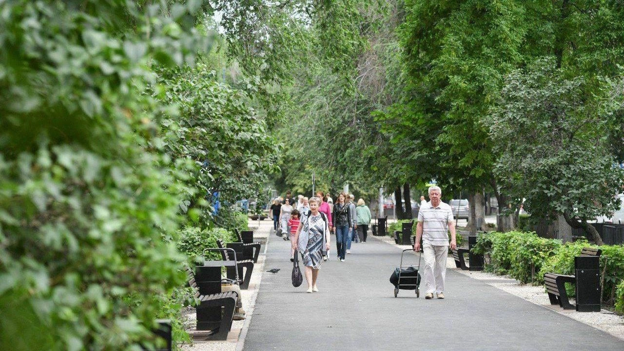 В Саратове на Вольской обустроят сквер за 8,5 млн 