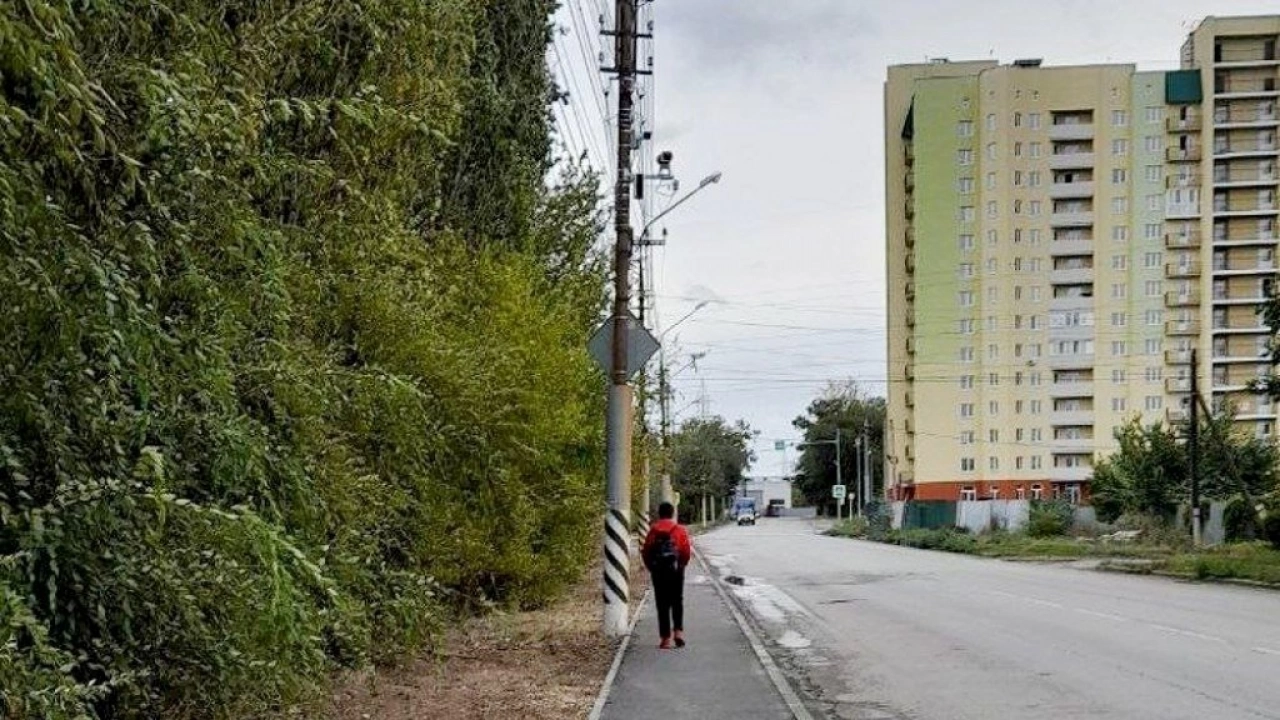 В Энгельсе прекращены поиски пропавшего в пятницу 21-летнего Данилы 