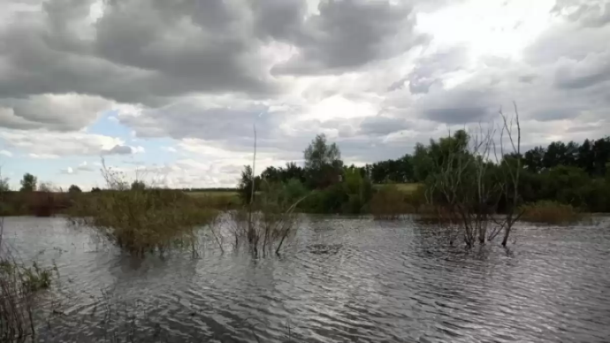 Гид по женской мастурбации