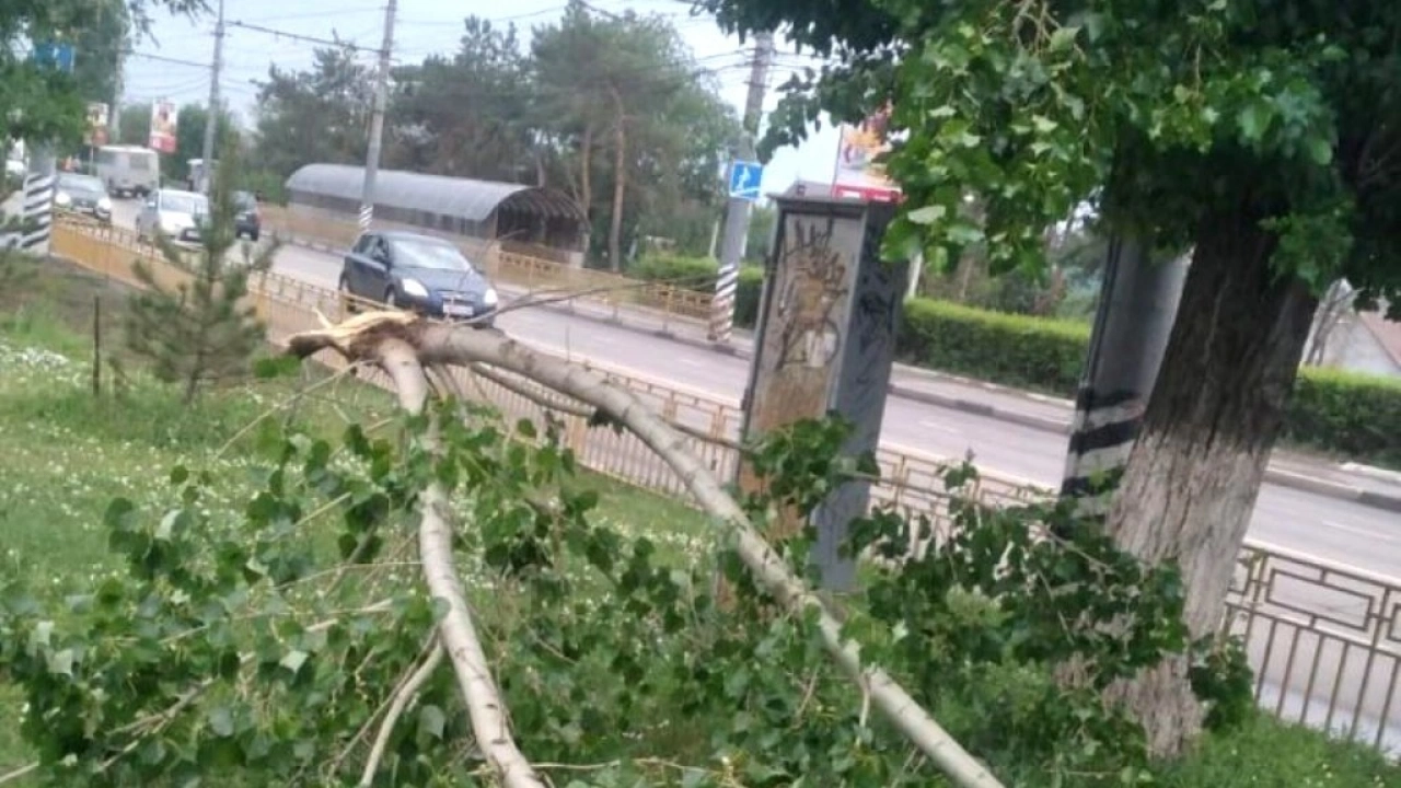 Ураган и гроза обрушились на Энгельс: последствия устраняются вторые сутки