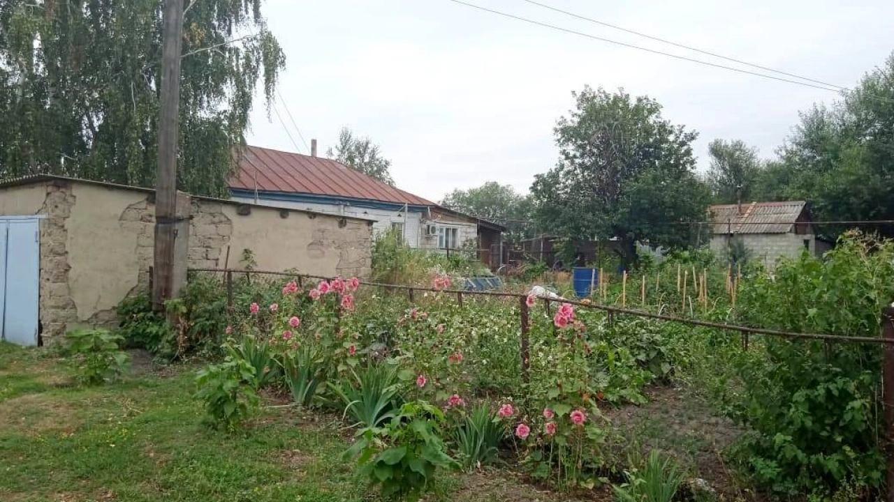 Жителей Энгельса призвали поливать огороды ночью из-за нехватки воды