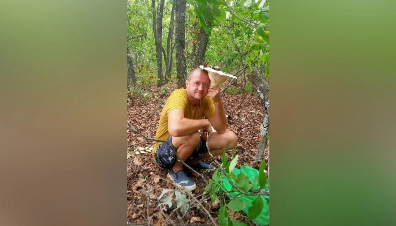В лесах Саратовской области находят грибы величиной с голову